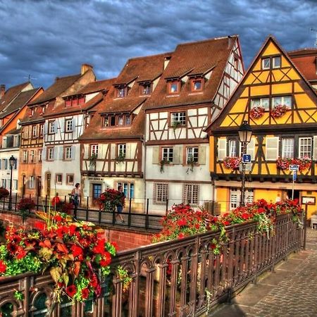Appartement Climatise 70 M2, Proximite De Colmar Sainte-Croix-en-Plaine Kültér fotó