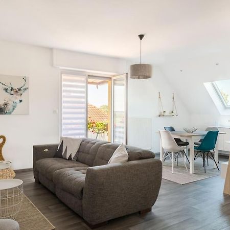 Appartement Climatise 70 M2, Proximite De Colmar Sainte-Croix-en-Plaine Kültér fotó