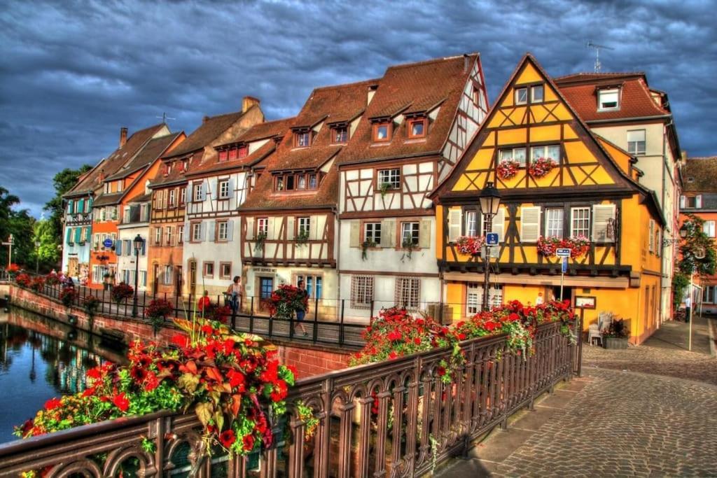 Appartement Climatise 70 M2, Proximite De Colmar Sainte-Croix-en-Plaine Kültér fotó