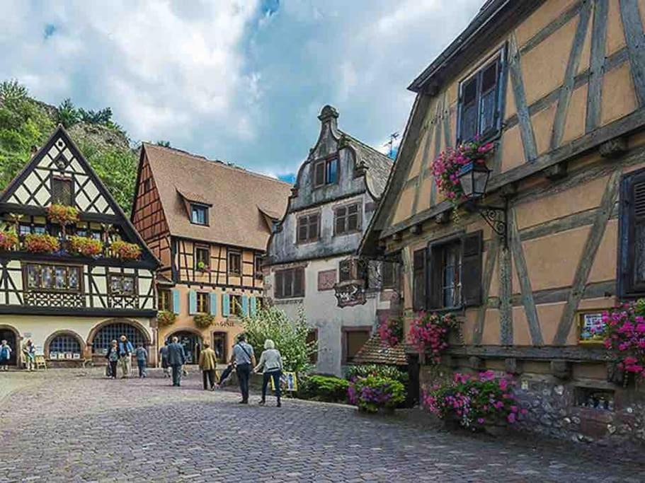 Appartement Climatise 70 M2, Proximite De Colmar Sainte-Croix-en-Plaine Kültér fotó