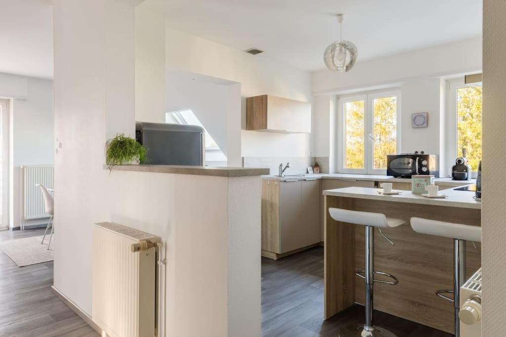 Appartement Climatise 70 M2, Proximite De Colmar Sainte-Croix-en-Plaine Kültér fotó