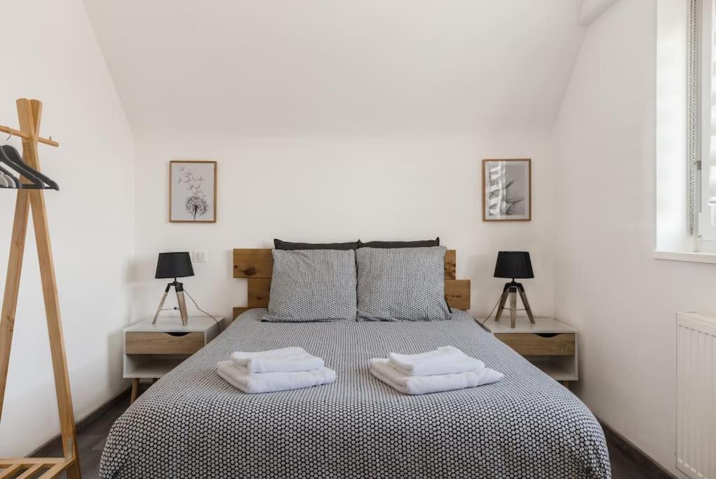 Appartement Climatise 70 M2, Proximite De Colmar Sainte-Croix-en-Plaine Kültér fotó