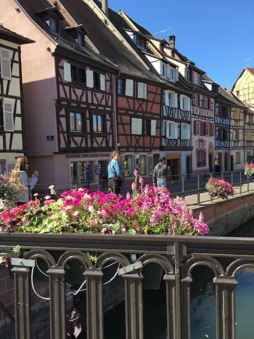 Appartement Climatise 70 M2, Proximite De Colmar Sainte-Croix-en-Plaine Kültér fotó