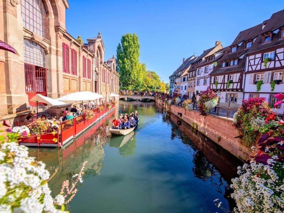 Appartement Climatise 70 M2, Proximite De Colmar Sainte-Croix-en-Plaine Kültér fotó