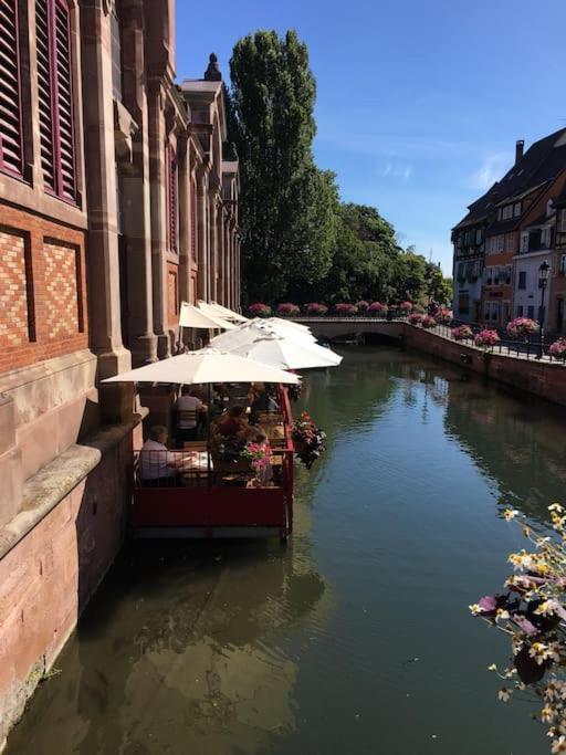 Appartement Climatise 70 M2, Proximite De Colmar Sainte-Croix-en-Plaine Kültér fotó